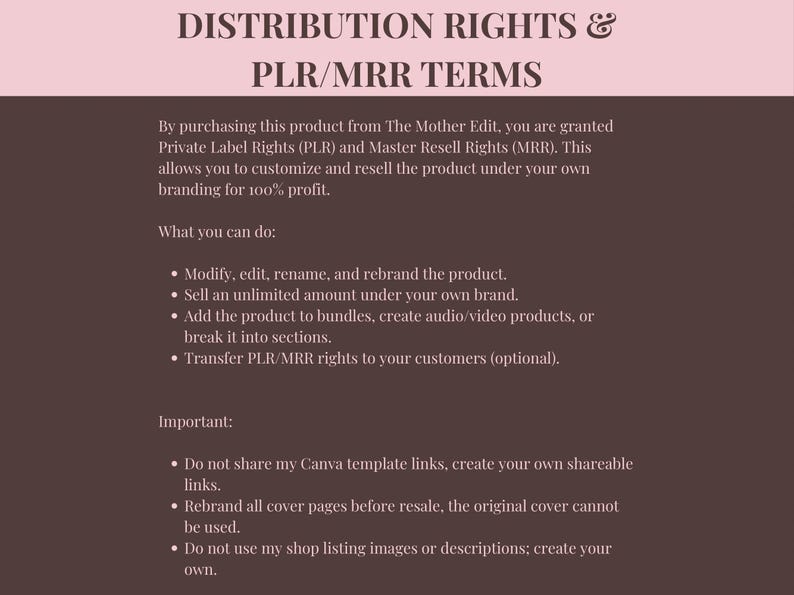 Faceless Creator Starter Kit | PLR & MRR Digital Products - Image 6